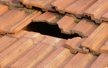 roof repair Millcraig, Highland